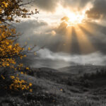 Psalm 085 – Lied von Vergebung und Erneuerung