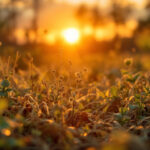 Psalm 111 – Ich danke dem HERRN von ganzem Herzen